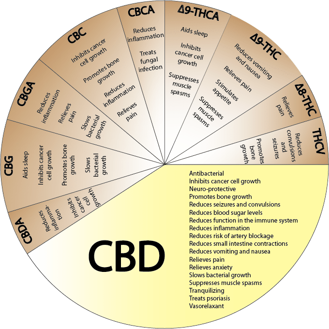 CBD Fights Inflammation and Aggressive Forms of Cancer
