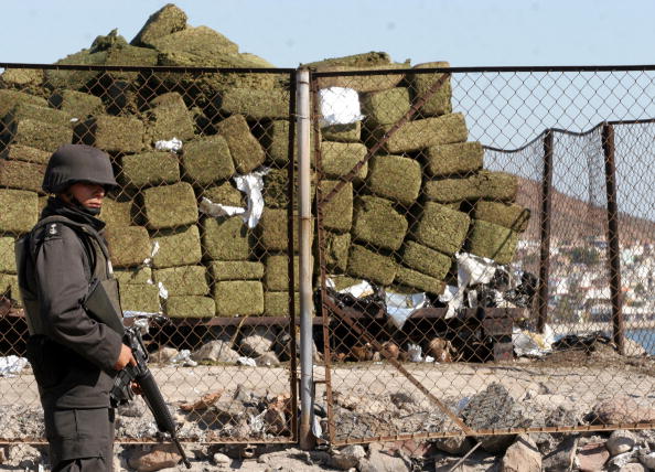 A member of the Mexican Army stands in f