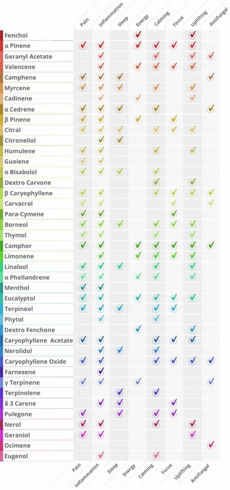 Terpene Physical Effects Chart