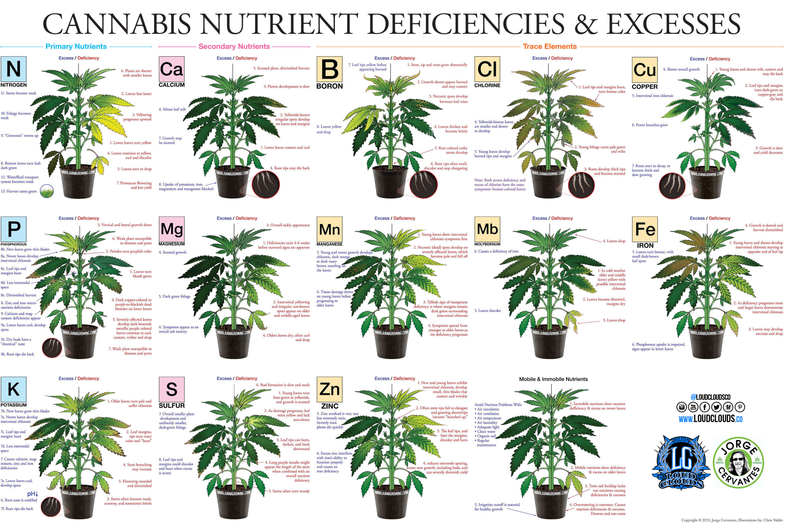 Marijuana Leaf Deficiency Chart